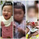 정인그룹주 이미지