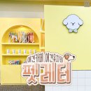 애견카페 애견유치원 펫레터 네이버블로그