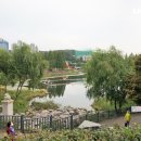 동백호수공원(광장) 이미지