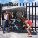 가정웰빙요리 이미지