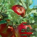 동그라미 - 논산시 중앙로 264 | 동그라미