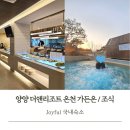 펫더가든 | 양양 더앤리조트 수영장 가든온 조식 강원도 온천 여행 펫수영장 정보 포함