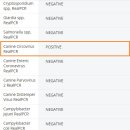 디아동물병원 이미지