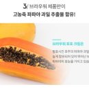 포포 이미지
