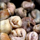 삽교신창집 이미지