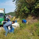 완도약산흑염소 이미지