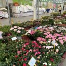 분당장터길 이미지