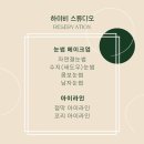 하이비스튜디오 네이버블로그