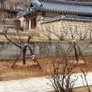 담 - 안산시 단원구 산단로 325 | 담