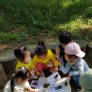 유아숲체험원(2) 이미지