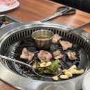 청오돼지들의세상 이미지