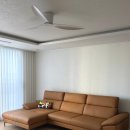 보람다우닝 | 200만원대 다우닝 통가죽 소파 내돈내산 후기 (카멜색 소파 추천)