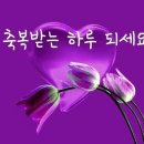 꽃 이야기(덴드로비움) 이미지