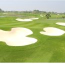 유니골프클럽 이미지