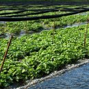 함께하는 농장 이미지