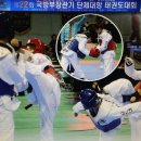 e-태권도 이미지