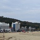 장고항 Daum카페