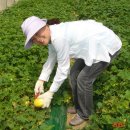 재희농장 이미지