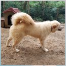 울산농장 이미지