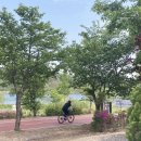 세븐일레븐 남양주송촌리점 이미지