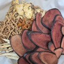 태전부부한의원 이미지