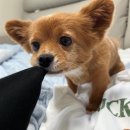 시민식당 | [종로3가 삼겹살 맛집] 종로 시민식당 아삼육세트 내돈내산 후기