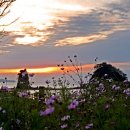 꽃지노을 이미지