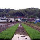 교동서로 이미지