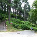 숲속향기캠핑장 이미지