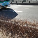 수원-1084 이미지