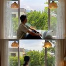 그리니제주 이미지