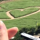 구구여행사 이미지