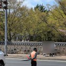 교리김밥 | 경주여행 필수코스 교리김밥 본점 후기, 벚꽃 보며 먹는 김밥 맛집
