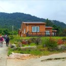 약산면-3 이미지
