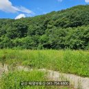궁동천 이미지