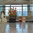 바다빛펜션 이미지