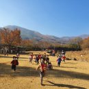 파파스트리
