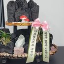 법무법인한빛