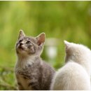 힐링산업 이미지