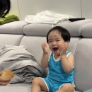 진천쌀빵미잠미과 진천터미널점