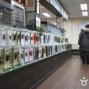 아라크노피아생태수목원 Daum카페