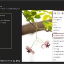 이미지 뷰 앱은 어떤 것을 사용합니까 이미지