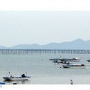 홍도식품 이미지