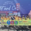 보령청과 이미지