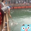 스타바다좌대낚시터 이미지