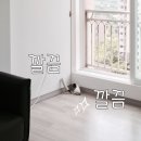 달산농장 | 에어컨 후기 with 에피소드] '동물농장'이나 '세상에...부제 : FQ181DT1WMW 공기청정 에어컨 2in1 후기)