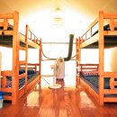 사프리카 더 캠프 이미지