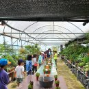 미륵산농장 이미지