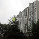 더우개로 Daum카페