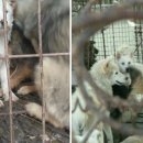 사연농장 이미지